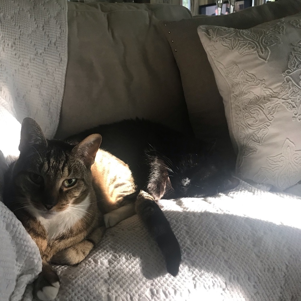 Meet your Posher, Jennie